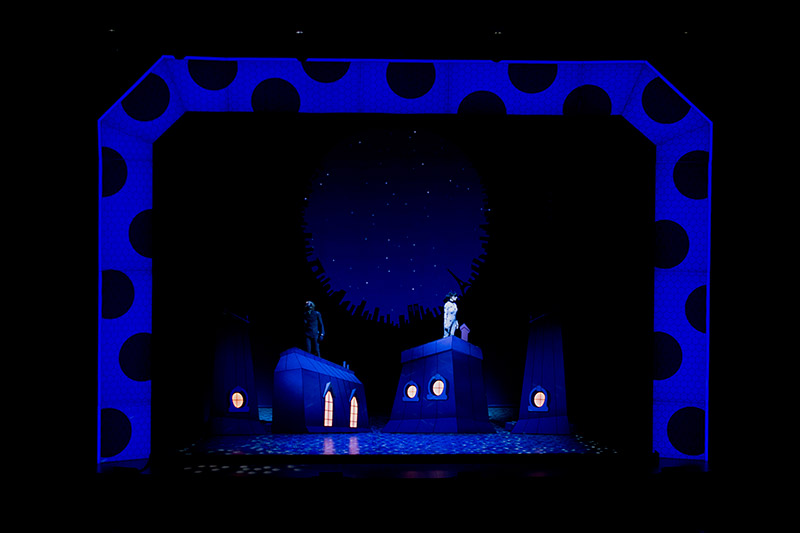 2025 afisha ledybag 3