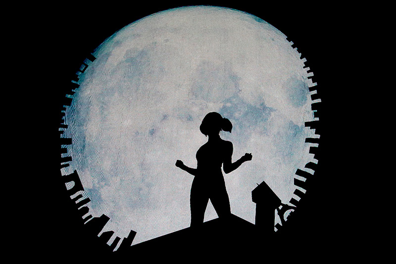 2025 afisha ledybag 4